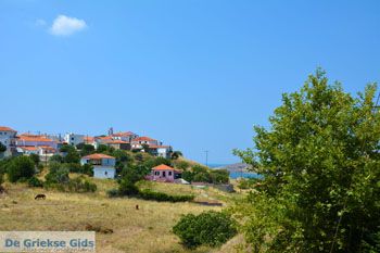 Platy Limnos (Lemnos) | Griekenland foto 1 - Foto van https://www.grieksegids.nl/fotos/limnos/lemnos2/normaal/platy-limnos-001.jpg