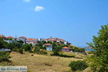Platy Limnos (Lemnos) | Griekenland foto 2 - Foto van https://www.grieksegids.nl/fotos/limnos/lemnos2/normaal/platy-limnos-002.jpg