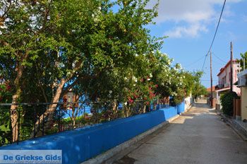 Repanidi Limnos (Lemnos) bij Kotsinas | Griekenland foto 13 - Foto van https://www.grieksegids.nl/fotos/limnos/lemnos2/normaal/repanidi-limnos-013.jpg