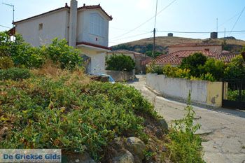 Repanidi Limnos (Lemnos) bij Kotsinas | Griekenland foto 17 - Foto van https://www.grieksegids.nl/fotos/limnos/lemnos2/normaal/repanidi-limnos-017.jpg