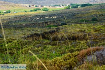 Route naar Kavirio Limnos (Lemnos) | Griekenland foto 19 - Foto van https://www.grieksegids.nl/fotos/limnos/lemnos2/normaal/route-kavirio-limnos-019.jpg