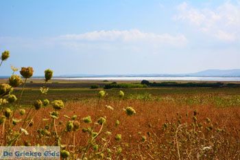 Route van Panagia naar Kontopouli Limnos (Lemnos) foto 1 - Foto van https://www.grieksegids.nl/fotos/limnos/lemnos2/normaal/route-panagia-kontopouli-limnos-001.jpg