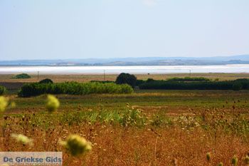 Route van Panagia naar Kontopouli Limnos (Lemnos) foto 2 - Foto van https://www.grieksegids.nl/fotos/limnos/lemnos2/normaal/route-panagia-kontopouli-limnos-002.jpg