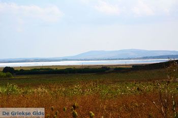 Route van Panagia naar Kontopouli Limnos (Lemnos) foto 4 - Foto van https://www.grieksegids.nl/fotos/limnos/lemnos2/normaal/route-panagia-kontopouli-limnos-004.jpg