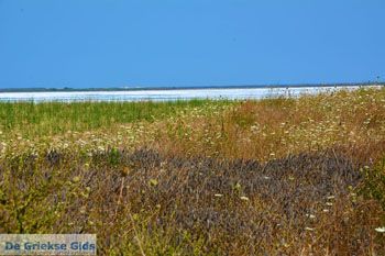 Route van Panagia naar Kontopouli Limnos (Lemnos) foto 7 - Foto van https://www.grieksegids.nl/fotos/limnos/lemnos2/normaal/route-panagia-kontopouli-limnos-007.jpg