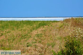 Route van Panagia naar Kontopouli Limnos (Lemnos) foto 8 - Foto van https://www.grieksegids.nl/fotos/limnos/lemnos2/normaal/route-panagia-kontopouli-limnos-008.jpg