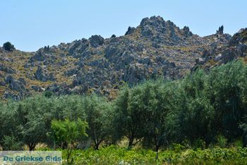 Stranden Thanos Limnos (Lemnos) | Griekenland foto 34 - Foto van https://www.grieksegids.nl/fotos/limnos/lemnos2/normaal/thanos-limnos-034.jpg