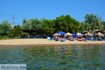Myrina Limnos (Lemnos) | Griekenland foto 88 - Foto van https://www.grieksegids.nl/fotos/limnos/myrina/normaal/myrina-limnos-088.jpg