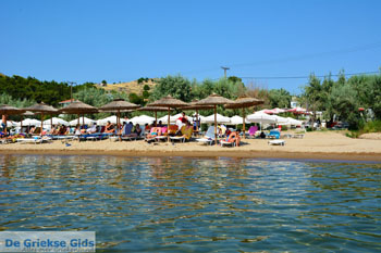 Myrina Limnos (Lemnos) | Griekenland foto 89 - Foto van https://www.grieksegids.nl/fotos/limnos/myrina/normaal/myrina-limnos-089.jpg