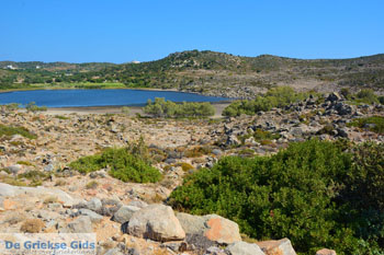 Chivadolimni Milos | Cycladen Griekenland | Foto 11 - Foto van https://www.grieksegids.nl/fotos/milos/normaal/chivadolimni-011.jpg