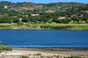 Chivadolimni Milos | Cycladen Griekenland | Foto 14 - Foto van https://www.grieksegids.nl/fotos/milos/normaal/chivadolimni-014.jpg