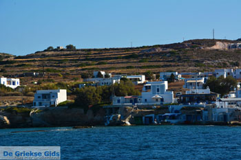 Mandrakia Milos | Cycladen Griekenland | Foto 32 - Foto van https://www.grieksegids.nl/fotos/milos/normaal/mandrakia-032.jpg