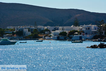 Pollonia Milos | Cycladen Griekenland | Foto 15 - Foto van https://www.grieksegids.nl/fotos/milos/normaal/pollonia-015.jpg
