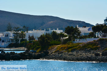 Pollonia Milos | Cycladen Griekenland | Foto 18 - Foto van https://www.grieksegids.nl/fotos/milos/normaal/pollonia-018.jpg