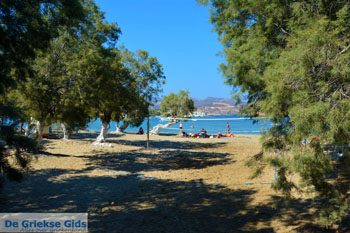 Pollonia Milos | Cycladen Griekenland | Foto 36 - Foto van https://www.grieksegids.nl/fotos/milos/normaal/pollonia-036.jpg