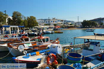 Pollonia Milos | Cycladen Griekenland | Foto 55 - Foto van https://www.grieksegids.nl/fotos/milos/normaal/pollonia-055.jpg