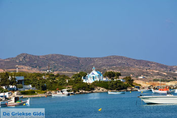 Pollonia Milos | Cycladen Griekenland | Foto 62 - Foto van https://www.grieksegids.nl/fotos/milos/normaal/pollonia-062.jpg