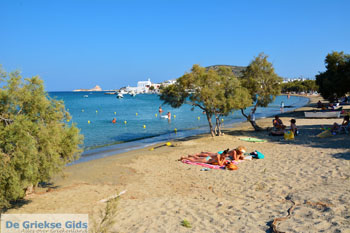 Pollonia Milos | Cycladen Griekenland | Foto 65 - Foto van https://www.grieksegids.nl/fotos/milos/normaal/pollonia-065.jpg