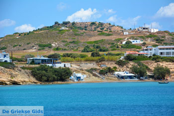 Provatas Milos | Cycladen Griekenland | Foto 17 - Foto van https://www.grieksegids.nl/fotos/milos/normaal/provatas-017.jpg
