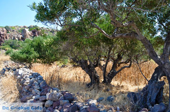Trypiti Milos | Cycladen Griekenland | Foto 14 - Foto van https://www.grieksegids.nl/fotos/milos/normaal/trypiti-milos-014.jpg