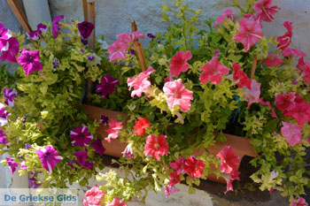 Trypiti Milos | Cycladen Griekenland | Foto 102 - Foto van https://www.grieksegids.nl/fotos/milos/normaal/trypiti-milos-102.jpg