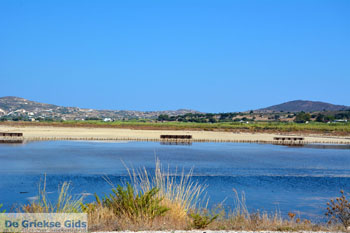 Zefyria Milos | Cycladen Griekenland | Foto 10 - Foto van https://www.grieksegids.nl/fotos/milos/normaal/zefyria-milos-010.jpg