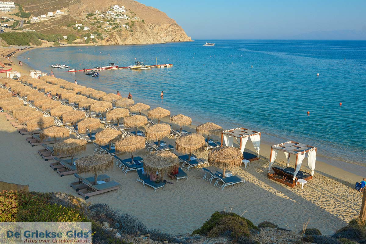 Elia beach Mykonos | Holidays in Elia beach | Greece Guide
