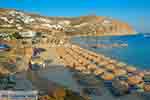 Elia beach Mykonos - Cycladen -  Foto 15 - Foto van De Griekse Gids