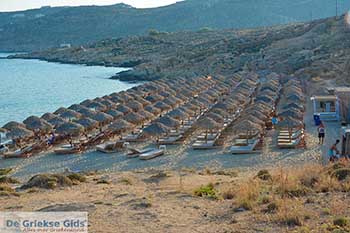 Elia beach Mykonos - Cycladen -  Foto 7 - Foto van https://www.grieksegids.nl/fotos/mykonos/elia-beach/350pix/elia-beach-mykonos-007.jpg