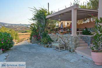 Ftelia Mykonos - Cycladen -  Foto 15 - Foto van https://www.grieksegids.nl/fotos/mykonos/ftelia/350pix/ftelia-mykonos-015.jpg