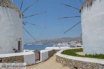 Mykonos stad - Chora Mykonos - Cycladen Foto 49 - Foto van https://www.grieksegids.nl/fotos/mykonos/mykonos-stad/350pix/mykonos-stad-049.jpg