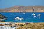 Panormos Mykonos - Cycladen -  Foto 6 - Foto van De Griekse Gids