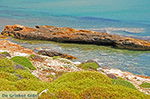 Aghiassos Naxos - Cycladen Griekenland - nr 28 - Foto van De Griekse Gids