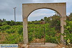 Agios Arsenios Naxos - Cycladen Griekenland - nr 1 - Foto van De Griekse Gids