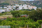 Agios Arsenios Naxos - Cycladen Griekenland - nr 4 - Foto van De Griekse Gids