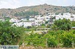 Agios Arsenios Naxos - Cycladen Griekenland - nr 15 - Foto van De Griekse Gids