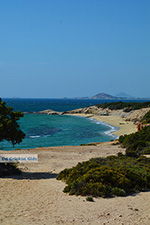 Alyko Naxos - Kykladen Griechenland - nr 51 - Foto GriechenlandWeb.de