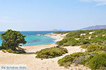 Alyko Naxos - Cycladen Griekenland - nr 60 - Foto van De Griekse Gids