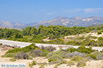 Alyko Naxos - Cycladen Griekenland - nr 65 - Foto van De Griekse Gids