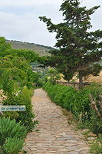 GriechenlandWeb.de Sangri Naxos - Foto GriechenlandWeb.de