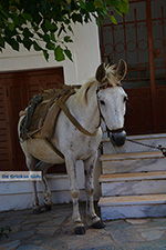 GriechenlandWeb.de Apiranthos Naxos - Foto GriechenlandWeb.de