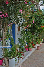 Apollonas Naxos - Cycladen Griekenland- nr 17 - Foto van De Griekse Gids