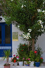 GriechenlandWeb.de Apollonas Naxos - Foto GriechenlandWeb.de