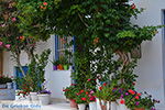 GriechenlandWeb.de Apollonas Naxos - Foto GriechenlandWeb.de