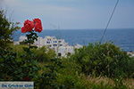Apollonas Naxos - Cycladen Griekenland- nr 26 - Foto van De Griekse Gids