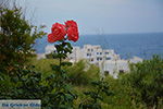 Apollonas Naxos - Cycladen Griekenland- nr 27 - Foto van De Griekse Gids