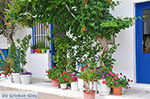 GriechenlandWeb.de Apollonas Naxos - Kykladen Griechenland- nr 32 - Foto GriechenlandWeb.de