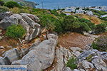 GriechenlandWeb.de Apollonas Naxos - Kykladen Griechenland- nr 59 - Foto GriechenlandWeb.de