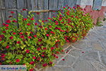GriechenlandWeb.de Chalkio Naxos - Kykladen Griechenland- nr 8 - Foto GriechenlandWeb.de