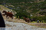 Kalantos Naxos - Cycladen Griekenland- nr 2 - Foto van De Griekse Gids